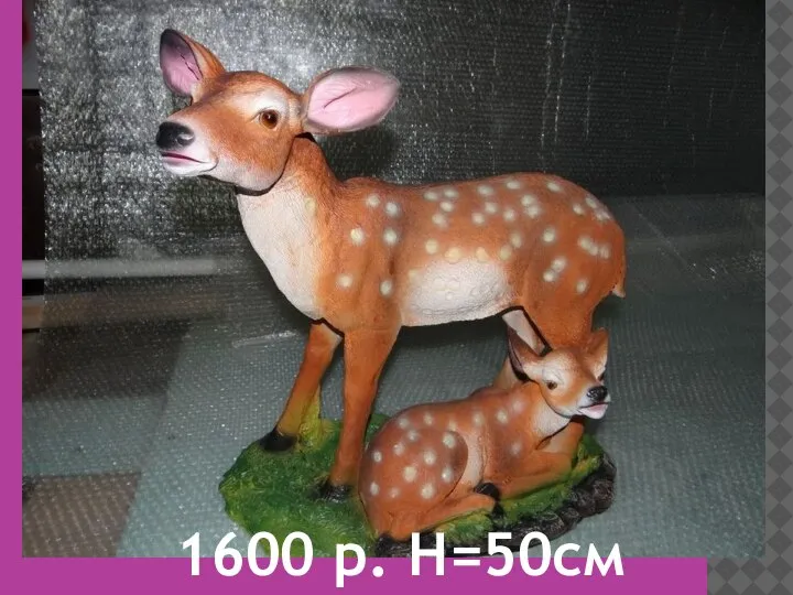 1600 р. H=50см