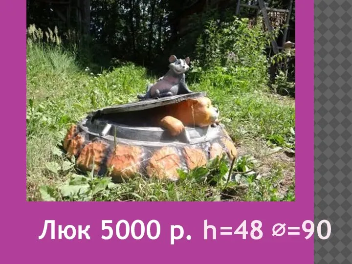 Люк 5000 р. h=48 ∅=90