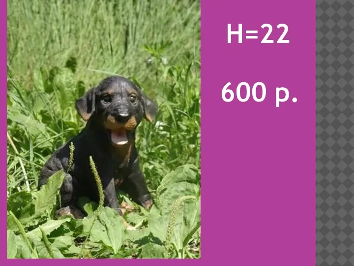 H=22 600 р.