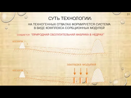 НА ТЕХНОГЕННЫХ ОТВАЛАХ ФОРМИРУЕТСЯ СИСТЕМА В ВИДЕ КОМПЛЕКСА СОРБЦИОННЫХ МОДУЛЕЙ СОЗДАЕТСЯ "ПРИРОДНАЯ