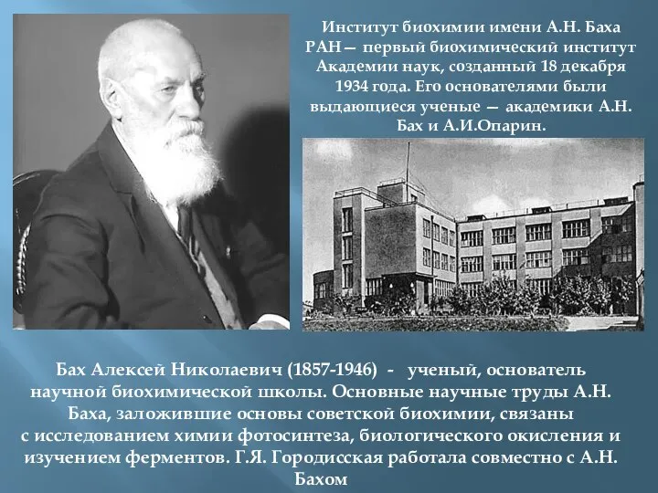 Институт биохимии имени А.Н. Баха РАН— первый биохимический институт Академии наук, созданный