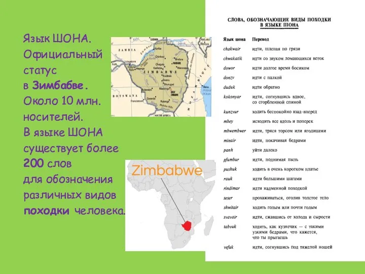 . Язык ШОНА. Официальный статус в Зимбабве. Около 10 млн. носителей. В