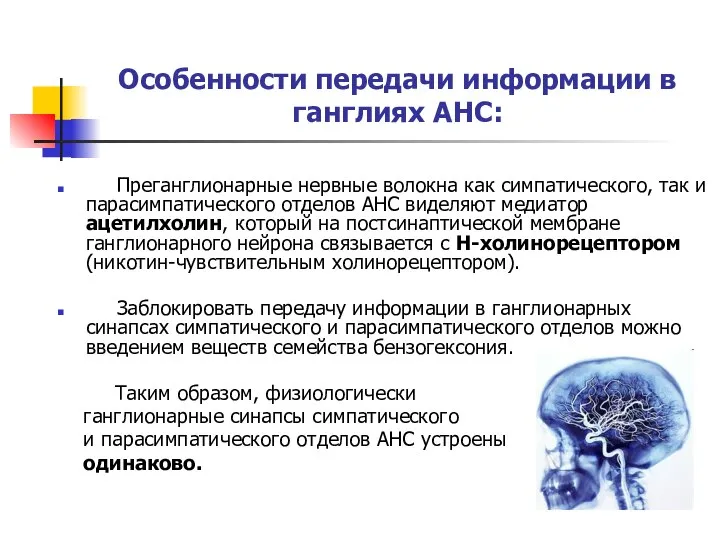 Особенности передачи информации в ганглиях АНС: Преганглионарные нервные волокна как симпатического, так