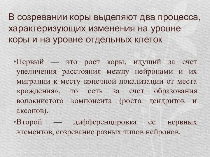 В созревании коры выделяют два процесса, характеризующих изменения на уровне коры и