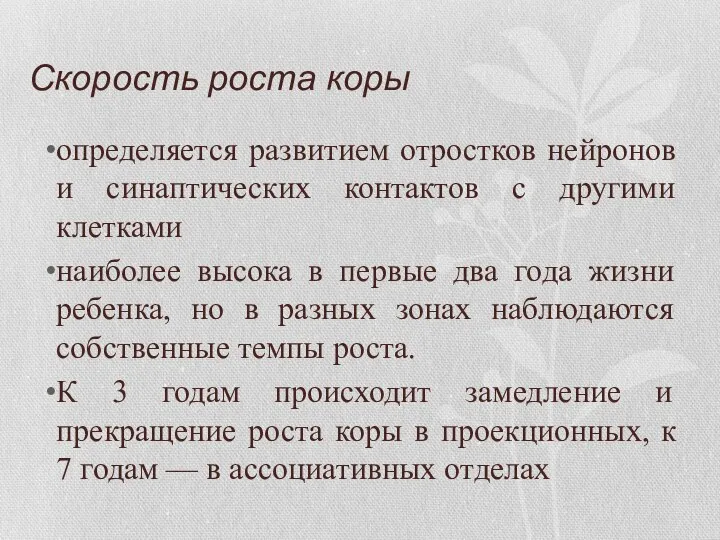 Скорость роста коры определяется развитием отростков нейронов и синаптических контактов с другими