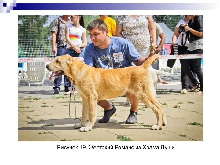 Рисунок 19. Жестокий Романс из Храма Души