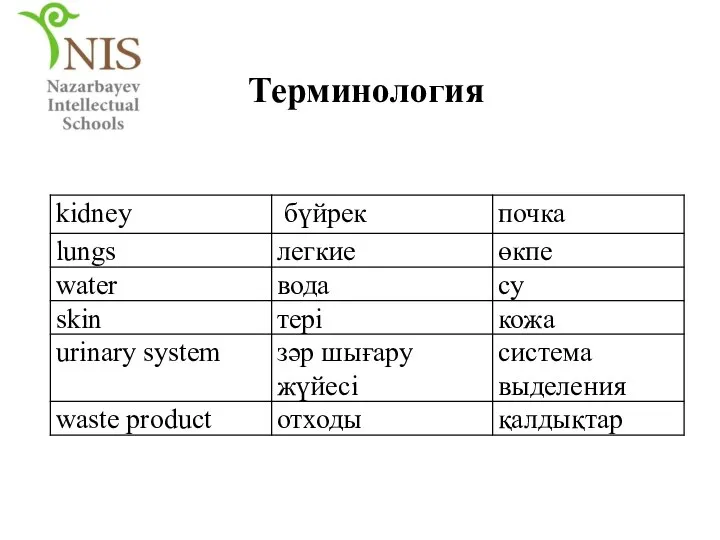 Терминология