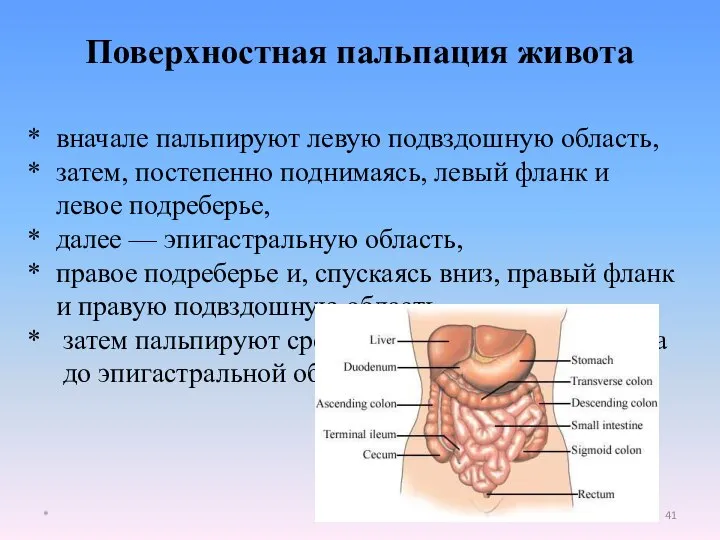 Поверхностная пальпация живота * вначале пальпируют левую подвздошную область, затем, постепенно поднимаясь,