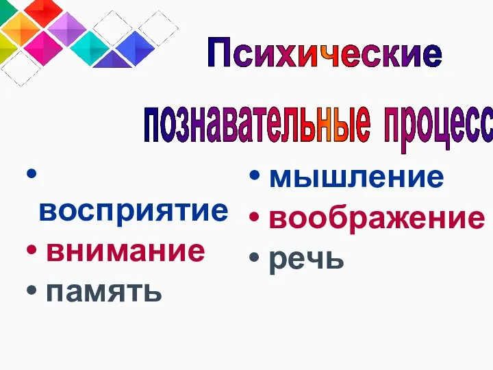 восприятие внимание память мышление воображение речь Психические познавательные процессы