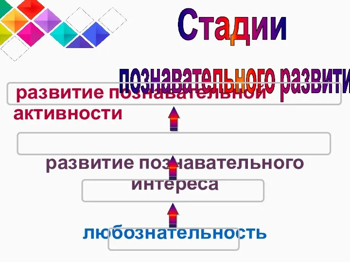 развитие познавательной активности развитие познавательного интереса любознательность любопытство познавательного развития Стадии