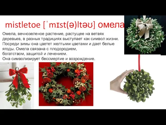 mistletoe [ˈmɪst(ə)ltəʊ] омела Омела, вечнозеленое растение, растущее на ветвях деревьев, в разных