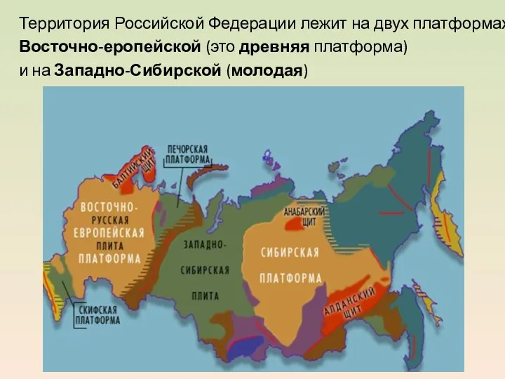 Территория Российской Федерации лежит на двух платформах: Восточно-еропейской (это древняя платформа) и на Западно-Сибирской (молодая)