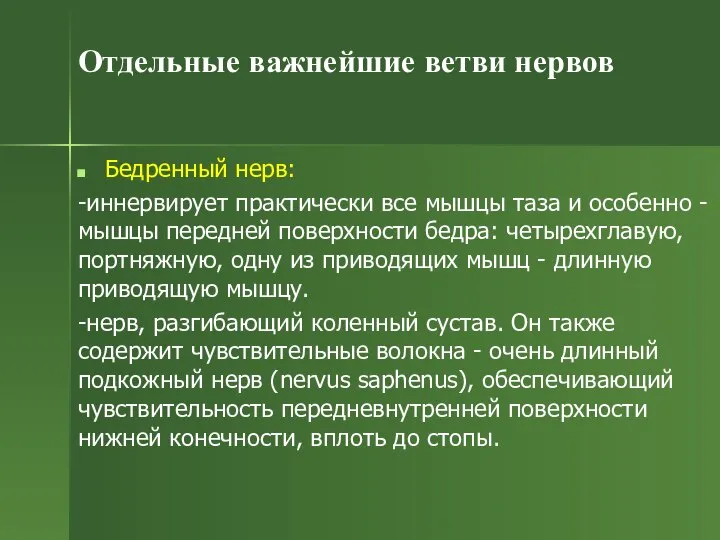 Отдельные важнейшие ветви нервов Бедренный нерв: -иннервирует практически все мышцы таза и