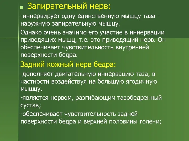 Запирательный нерв: -иннервирует одну-единственную мышцу таза - наружную запирательную мышцу. Однако очень