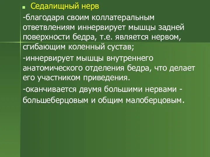 Седалищный нерв -благодаря своим коллатеральным ответвлениям иннервирует мышцы задней поверхности бедра, т.е.