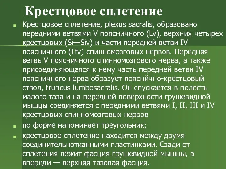 Крестцовое сплетение Крестцовое сплетение, plexus sacralis, образовано передними ветвями V поясничного (Lv),