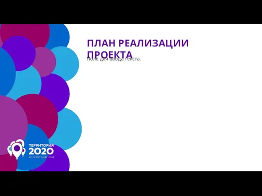 ПЛАН РЕАЛИЗАЦИИ ПРОЕКТА Поле для ввода текста.