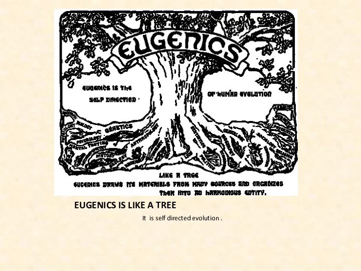 EUGENICS IS LIKE A TREE It is self directed evolution .