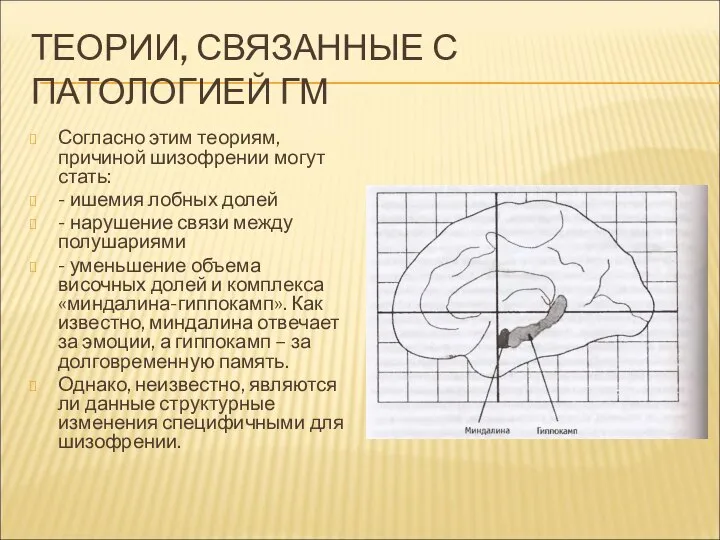 ТЕОРИИ, СВЯЗАННЫЕ С ПАТОЛОГИЕЙ ГМ Согласно этим теориям, причиной шизофрении могут стать: