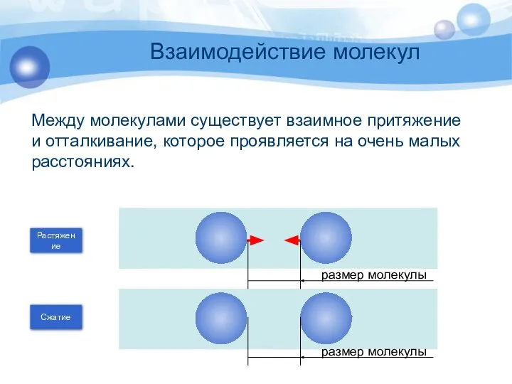 Взаимодействие молекул Между молекулами существует взаимное притяжение и отталкивание, которое проявляется на