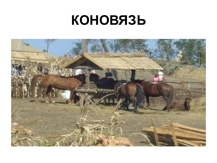 КОНОВЯЗЬ