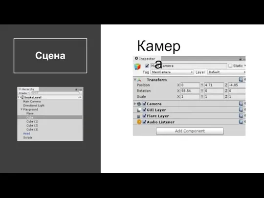 Сцена Камера