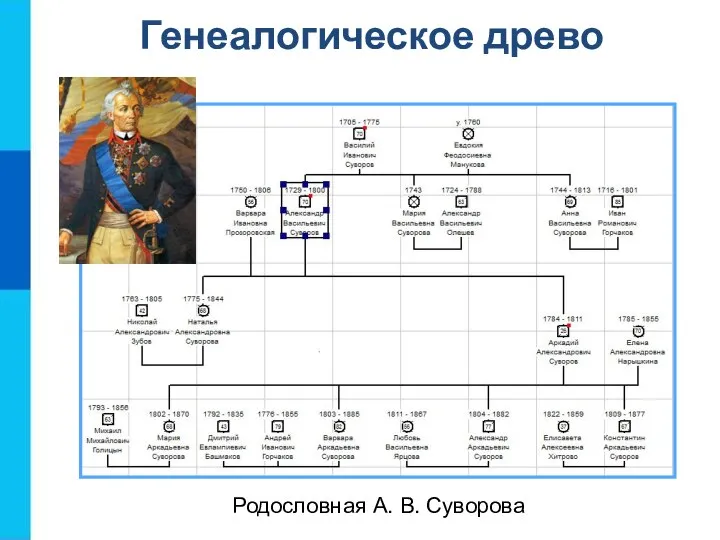 Генеалогическое древо Родословная А. В. Суворова