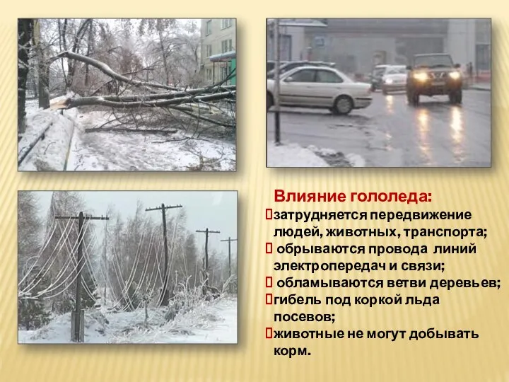 Влияние гололеда: затрудняется передвижение людей, животных, транспорта; обрываются провода линий электропередач и