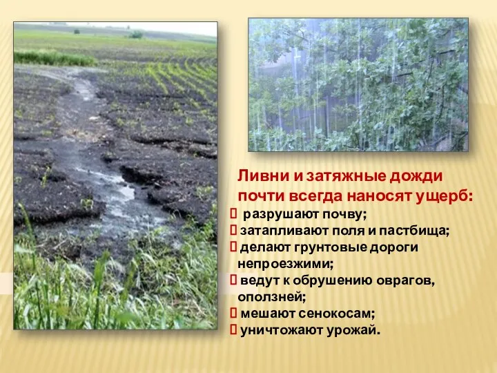 Ливни и затяжные дожди почти всегда наносят ущерб: разрушают почву; затапливают поля