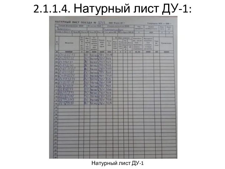 2.1.1.4. Натурный лист ДУ-1: Натурный лист ДУ-1