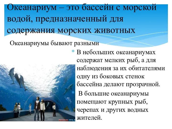 Океанариум – это бассейн с морской водой, предназначенный для содержания морских животных