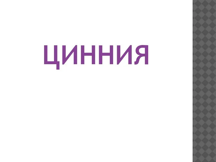 ЦИННИЯ