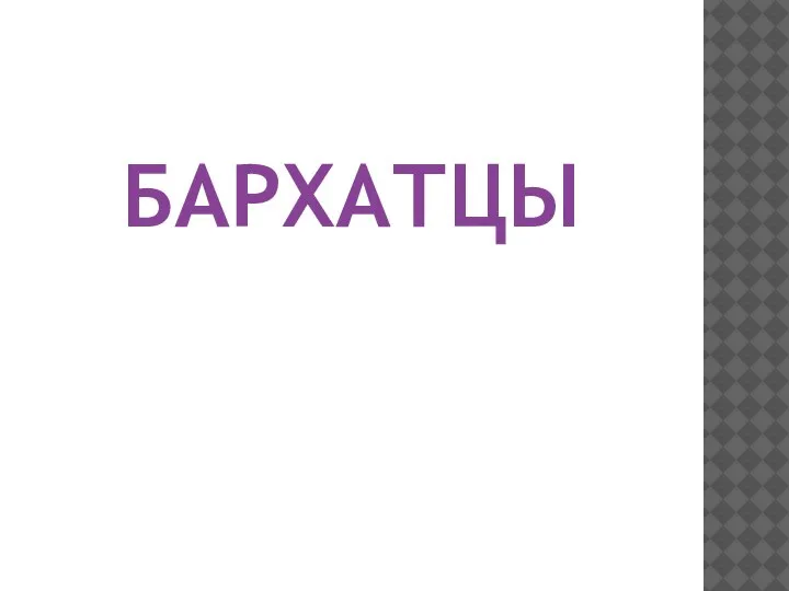 БАРХАТЦЫ