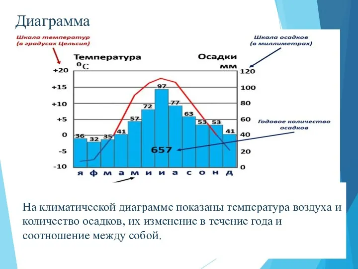 Диаграмма На климатической диаграмме показаны температура воздуха и количество осадков, их изменение