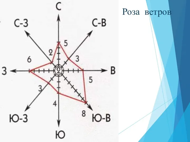 Роза ветров