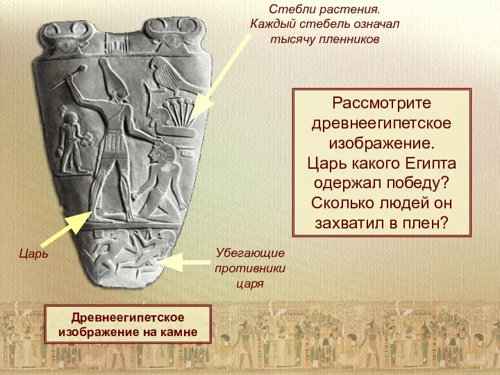 Древнеегипетское изображение на камне Стебли растения. Каждый стебель означал тысячу пленников Царь