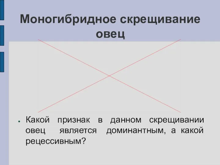 Моногибридное скрещивание овец Какой признак в данном скрещивании овец является доминантным, а какой рецессивным?