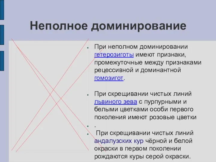 Неполное доминирование При неполном доминировании гетерозиготы имеют признаки, промежуточные между признаками рецессивной