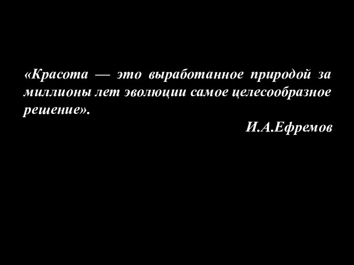 8. Красота — это выработанное природой за миллионы лет эволюции самое целесообразное