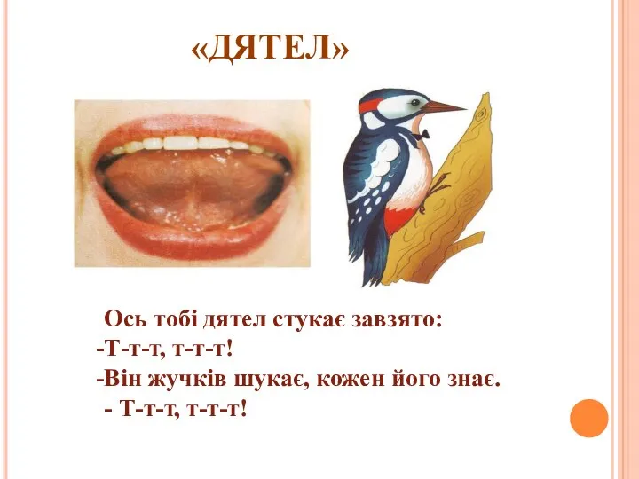 «ДЯТЕЛ» Ось тобi дятел стукає завзято: Т-т-т, т-т-т! Вiн жучкiв шукає, кожен