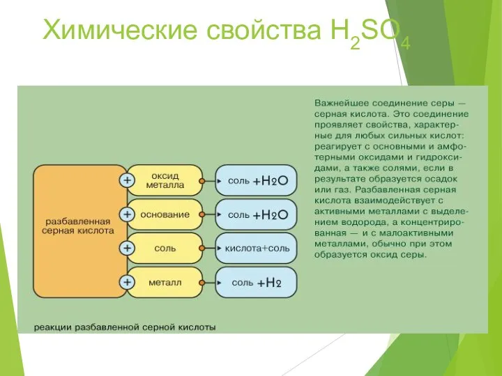 Химические свойства H2SO4