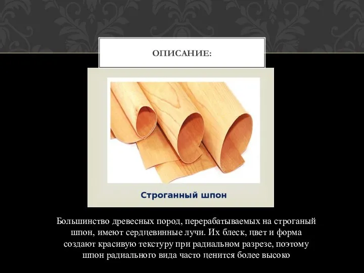 Большинство древесных пород, перерабатываемых на строганый шпон, имеют сердцевинные лучи. Их блеск,