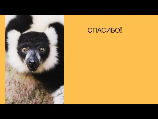 СПАСИБО! Please keep this slide for attribution.