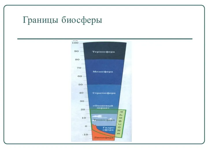 Границы биосферы