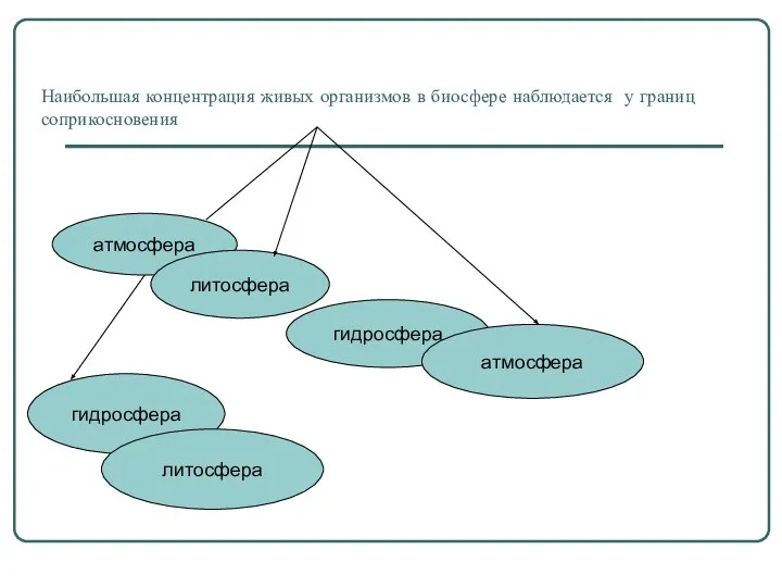 Наибольшая концентрация живых организмов в биосфере наблюдается у границ соприкосновения атмосфера литосфера гидросфера атмосфера гидросфера литосфера