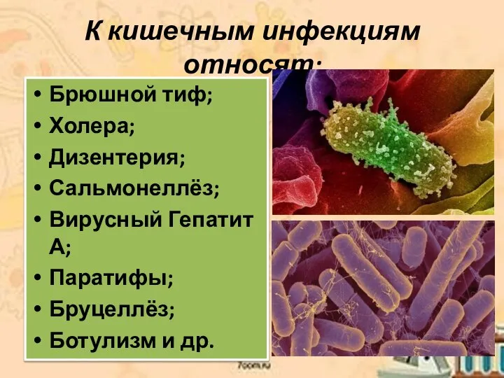 К кишечным инфекциям относят: Брюшной тиф; Холера; Дизентерия; Сальмонеллёз; Вирусный Гепатит А;