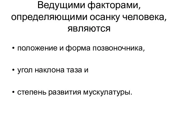 Ведущими факторами, определяющими осанку человека, являются положение и форма позвоночника, угол наклона