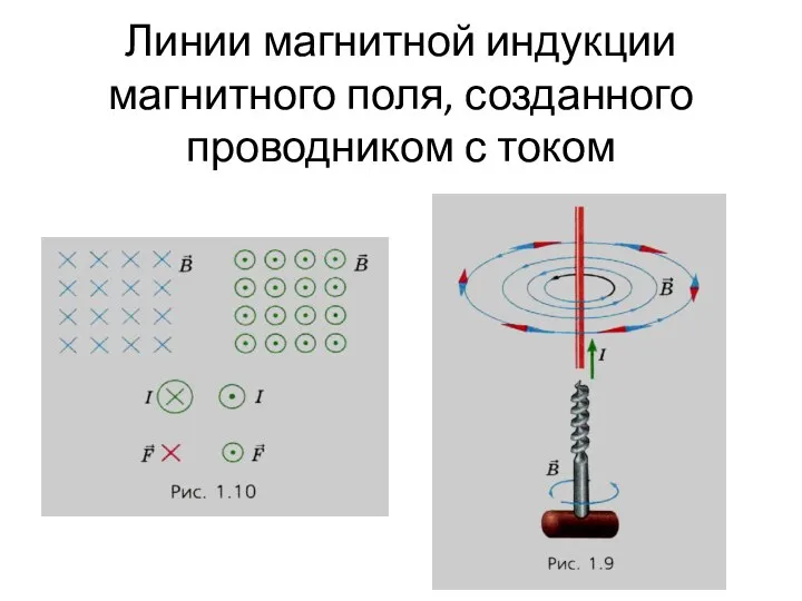 Линии магнитной индукции магнитного поля, созданного проводником с током