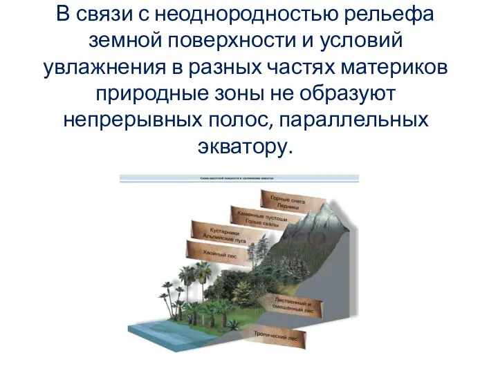 В связи с неоднородностью рельефа земной поверхности и условий увлажнения в разных