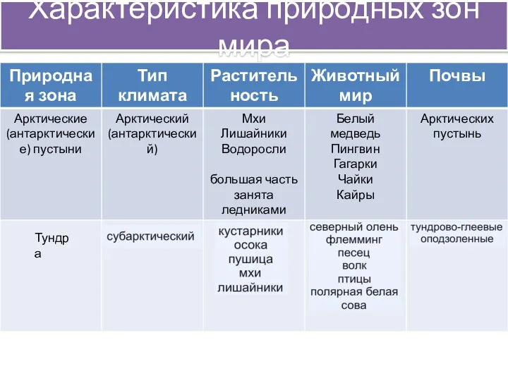 Характеристика природных зон мира Тундра